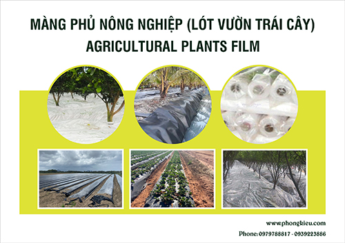 Màng phủ nông nghiệp - Màng Nhà Kính Phong Kiều - Công Ty TNHH Phong Kiều